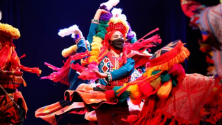 APUS: PROTECTORES DE NUESTRO LEGADO