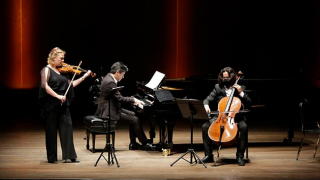 FESTIVAL EXPERIMENTA | LA FERIA MARAVILLOSA