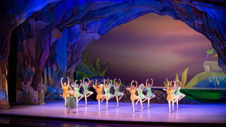 SUEÑO DE UNA NOCHE DE VERANO & COREÓGRAFAS