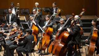 LA NOVELA DE BEETHOVEN